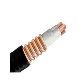 Alambre aislado mineral resistente de alta temperatura flexible de la prueba de calor del cable
